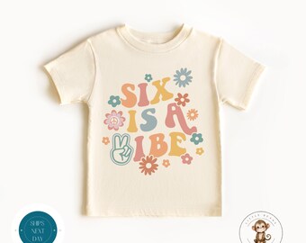 Six is a Vibe Birthday Shirt  | Sixth Birthday Girl Custom Shirt | Cute Birthday Party Shirt