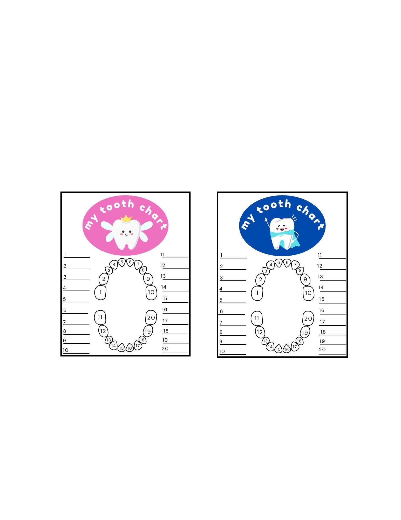 Tooth Chart For Children Tooth Chart For Children