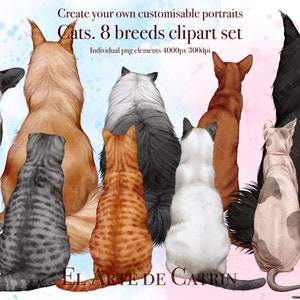 Conjunto de clipart de 8 raças de gatos, vista traseira de gatos, gráficos de gato personalizáveis, Maine Coon, RagDoll, Scottish Fold, Siamês Britânico, Oriental Shorthair