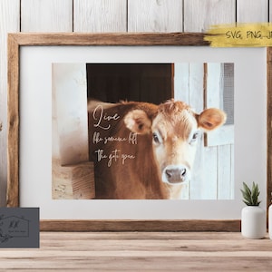 SVG Files, Live like someone left the gate open SVG, Farmhouse sign, Wall decor, digital download,  Png Jpg Pdf, great canvas picture