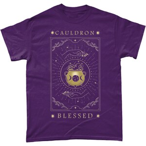 ACOTAR Cauldron Blessed Tarot Style T-Shirt, A Court Of Thorns and Roses, Literary Tee, SJM, Bookish Gift, Nesta Fandom image 6