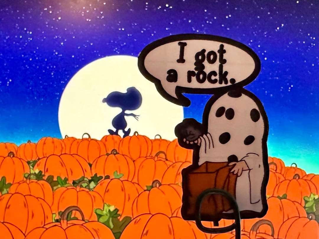 Peanuts: Charlie Brown - I Got a Rock. Water Resistant Vinyl Stickers - Etsy