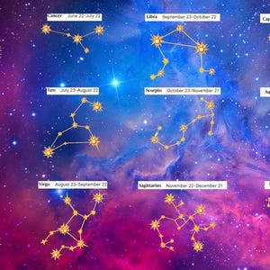 Costellazioni dello Zodiaco