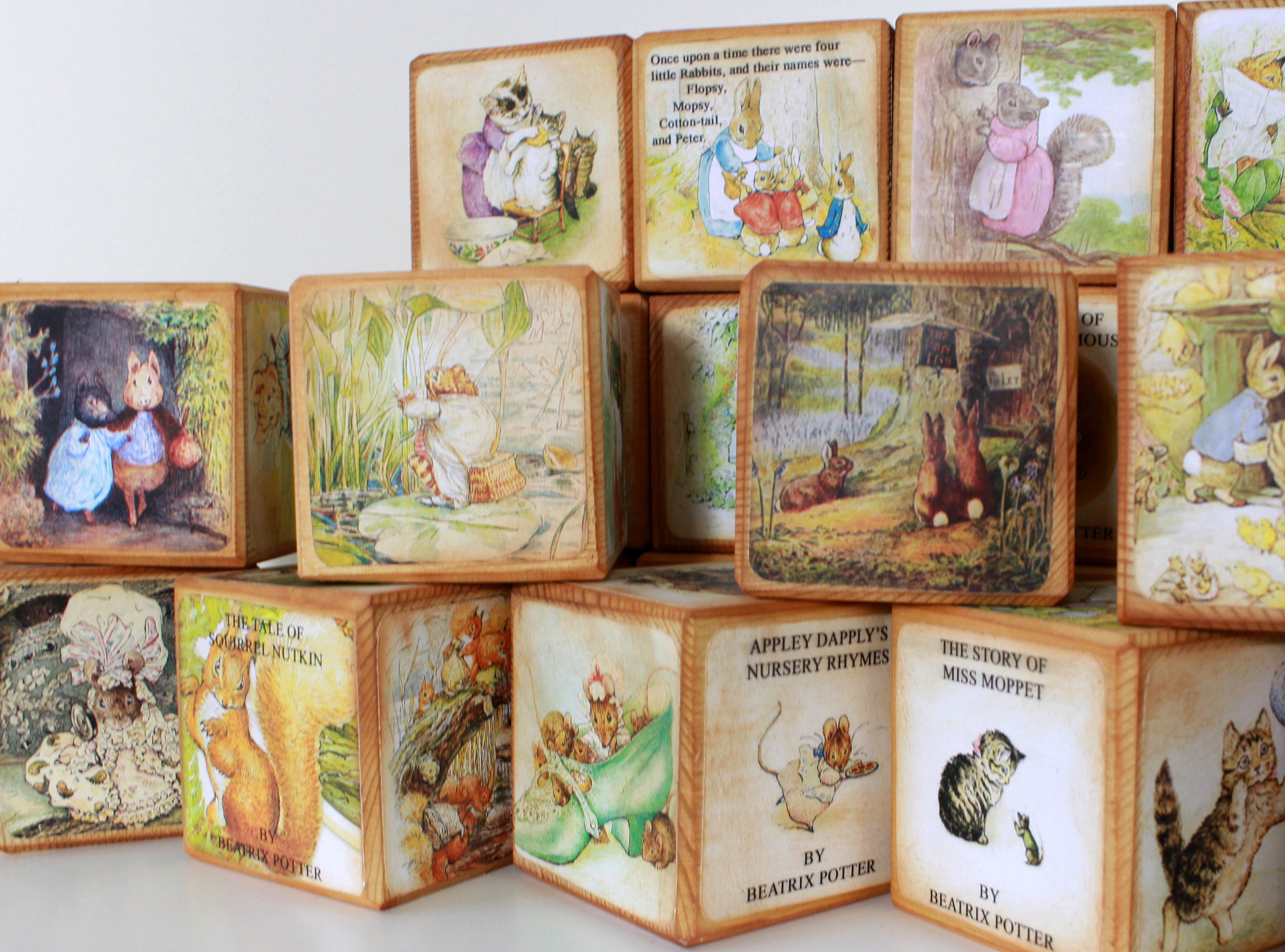 Pet Rabbit Blocks Peter Rabbit Beatrix Potter Story Book Blocks, Vintage Classic Tales ...