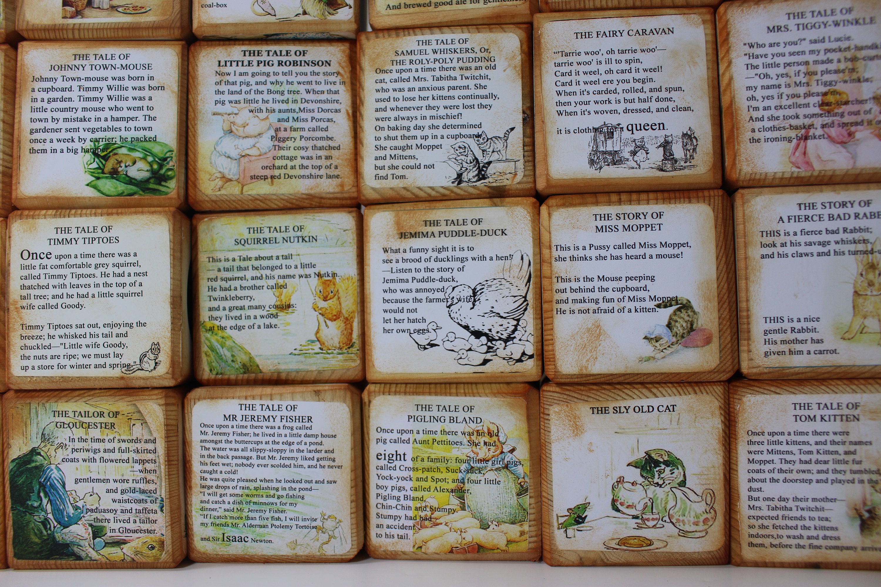 Pet Rabbit Blocks Peter Rabbit Beatrix Potter Story Book Blocks, Vintage Classic Tales ...