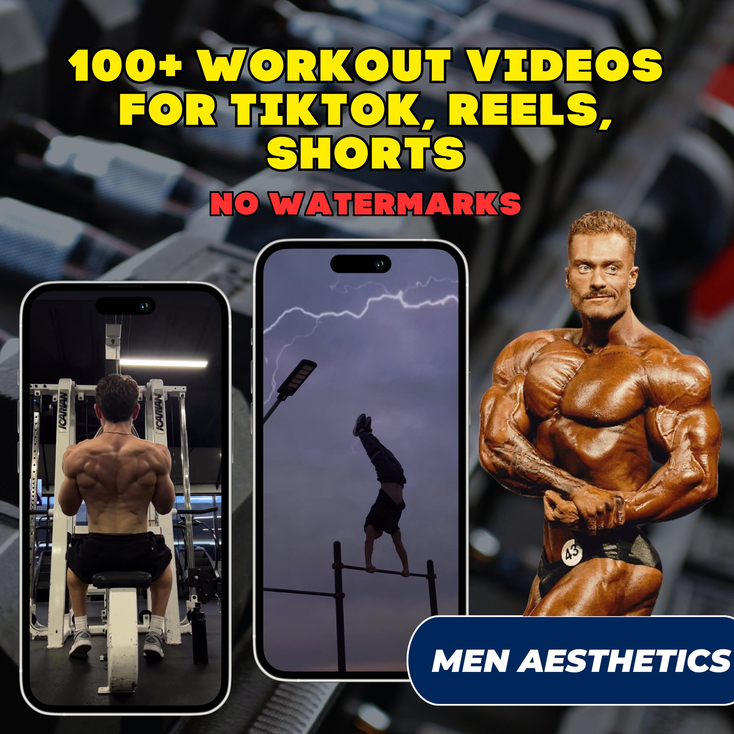 100+ Workout Motivation Videos: Gym, Calisthenics, Bodybuilders (Canva Editable, Digital Download)