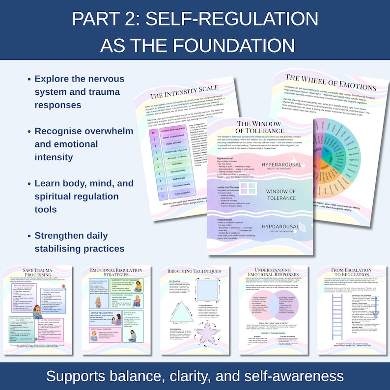 Part 2 is self regulation as the foundation for healing