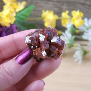 Incredible Vanadinite Cluster Crystal Specimen