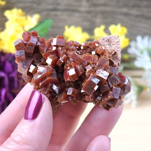 Incredible Vanadinite Cluster Crystal Specimen | Cubic Freeform