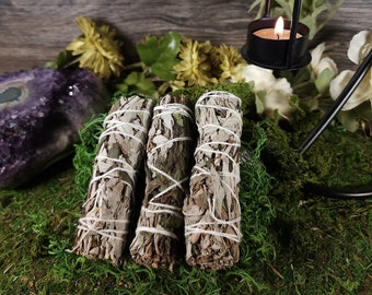 One (1) Aromatic White Sage & Peppermint Bundled Smudges Cleansing Smoke Herbal Incense Sacred Smudge Ritual Smudge Cleansing Smoke Sacred