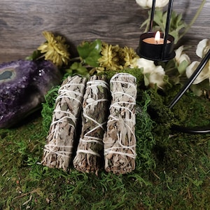 One (1) Aromatic White Sage & Peppermint Bundled Smudges Cleansing Smoke Herbal Incense Sacred Smudge Ritual Smudge Cleansing Smoke Sacred