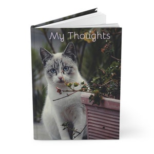 Carnet cartonné Chat duveteux Mat