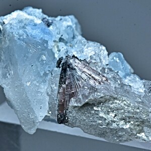 Unusual Etched Vorobyevite Beryl Rosterite Crystal With Tourmaline 36 Carat