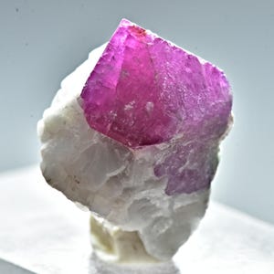 以下が含まれることがあります： 白く結晶化したマトリックスの上に、鮮やかなピンク色のルビーの結晶が置かれています。ルビーは半透明で、わずかに紫がかった色合いをしています。