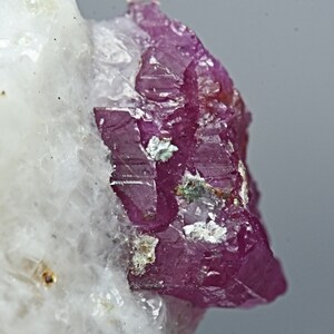 May include: A close-up of a pink ruby crystal on a white matrix. The ruby has a sharp, faceted shape and is surrounded by smaller crystals.