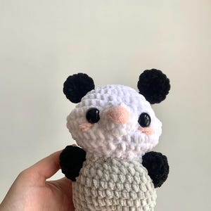 possum