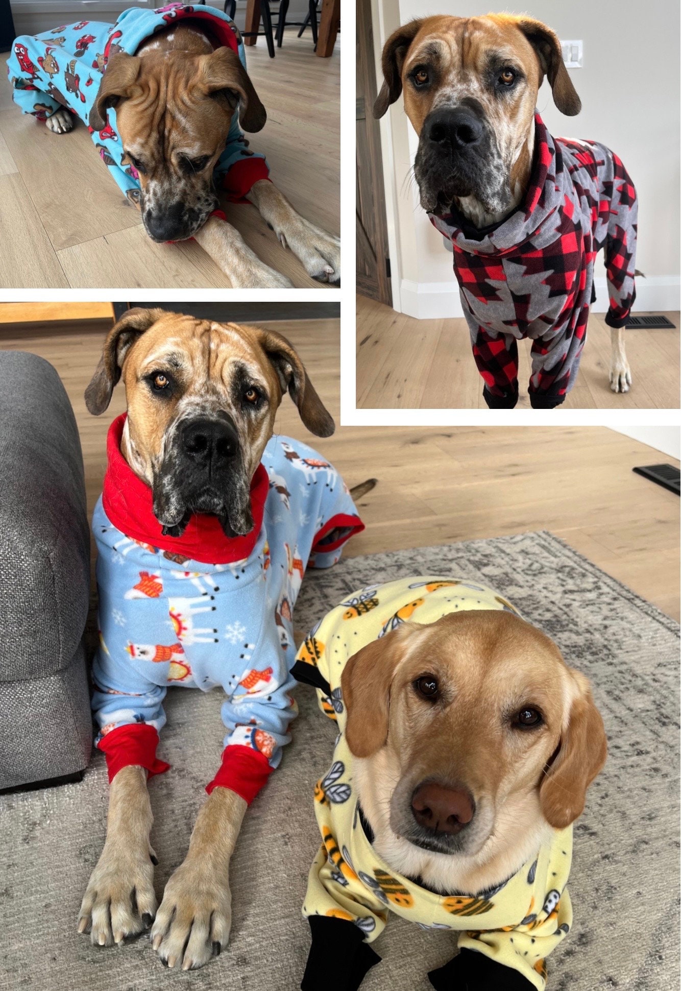 Dog Pjs With Legs Etsy Canada