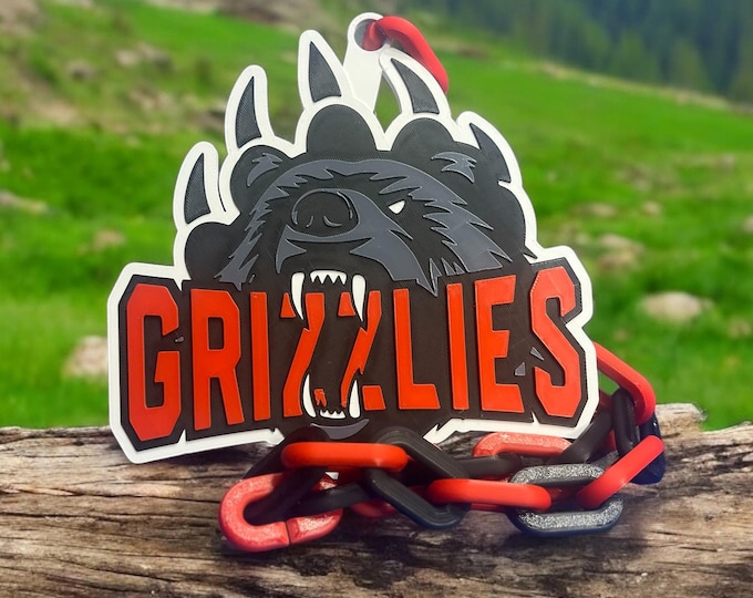Custom Sports Logo Chain: Team Colors & Logos with names and numbers