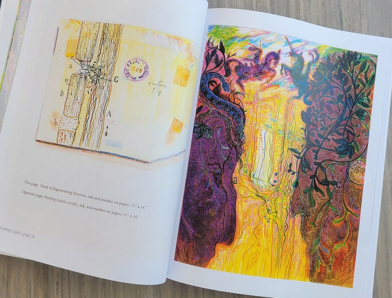 This is an image of illustrations in the monograph Cajal's Canopy of trees byrenowned artist and Fulbright Scholar Dawn Hunter.