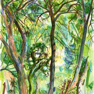 This is an illustration of Retiro Park by renowned artist and Fulbright Scholar Dawn Hunter.