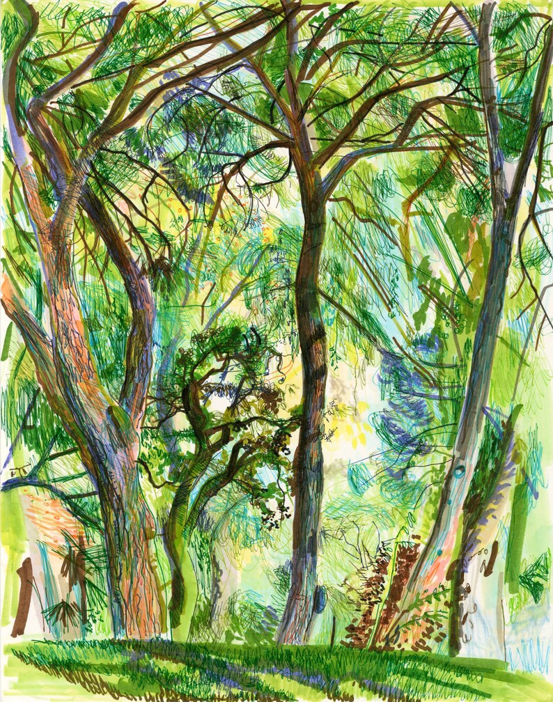 This is an illustration of Retiro Park by renowned artist and Fulbright Scholar Dawn Hunter.