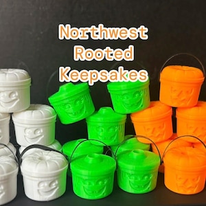 Op de afbeelding: Een verzameling kleine plastic containers in wit, groen en oranje, elk met een lachend gezicht. De containers hebben kleine zwarte handvatten. De tekst "Northwest Rooted Keepsakes" staat op de achtergrond.