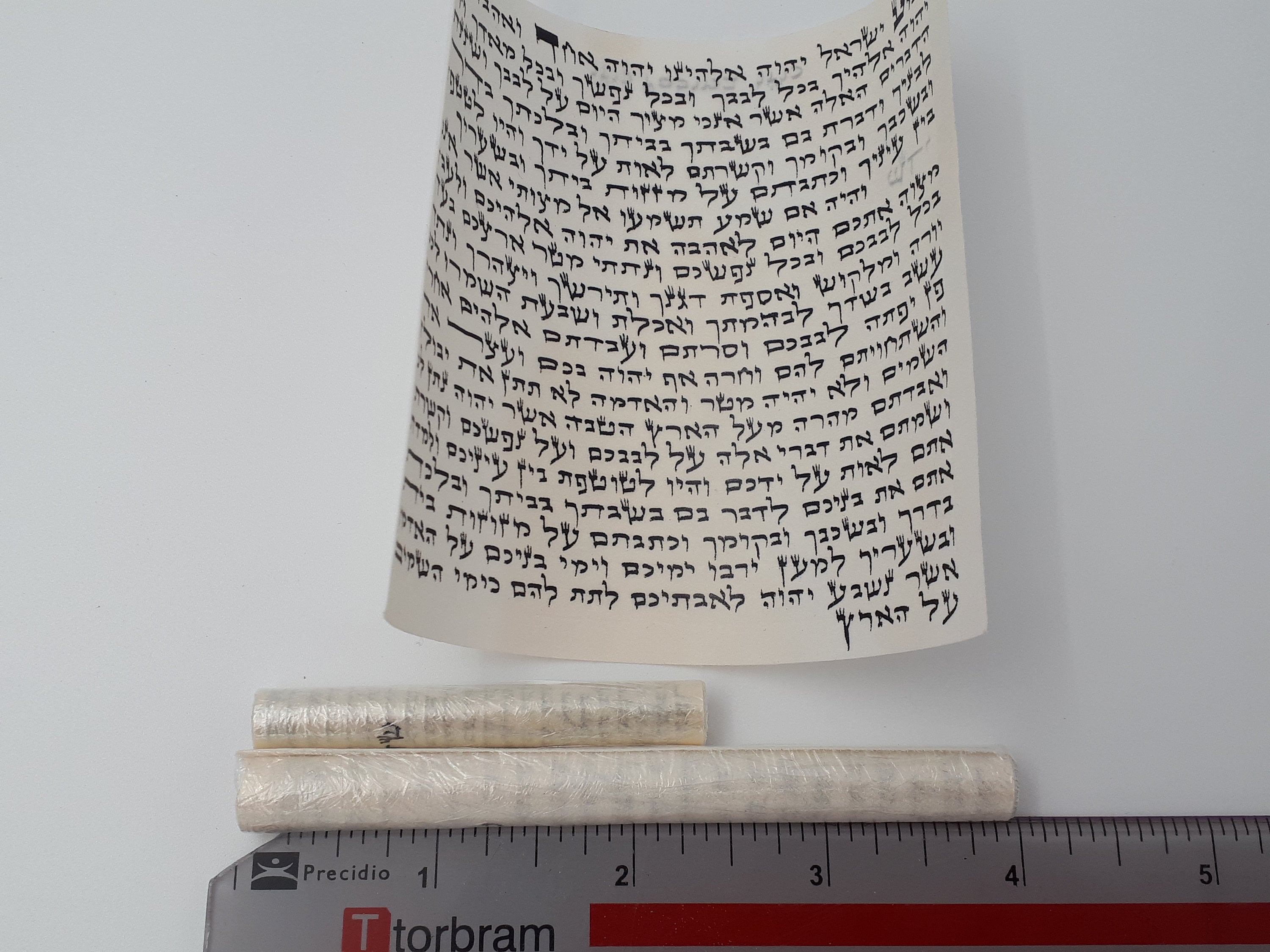 Mezuzah Scroll Kosher Scrolls in Two Sizes Etsy