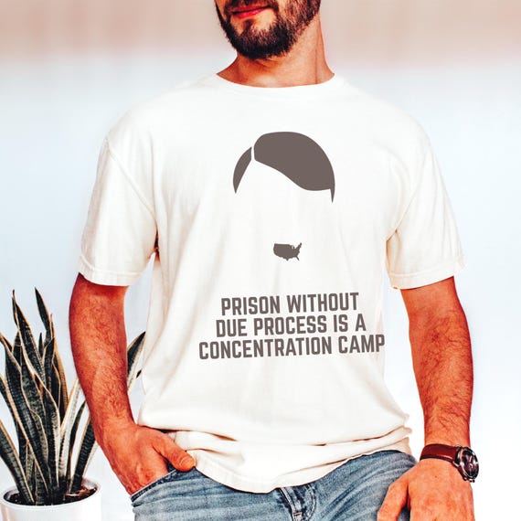 Comfort Colors Human Rights Shirt, Anti-ICE, No Kings Protest Rally, F*ck ICE, Anti Fascist Protest Shirt, Due Process Protest Coton Tee