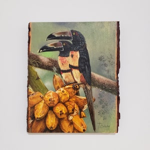 Tucanes comiendo ,tucanes, pareja de tucanes ,pintura de tucanes, pintura de aves ,paisajes, pintura de paisajes, aves exóticas ,pinturas