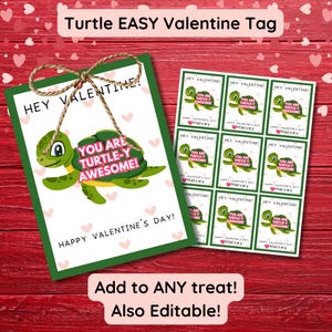 Eres una tortuga increíble para San Valentín / Agrega cualquier obsequio / Tarjetas de San Valentín para la iglesia ministrante / Tarjetas de San Valentín para amigos de la escuela / Tarjetas de San Valentín para maestros de aula