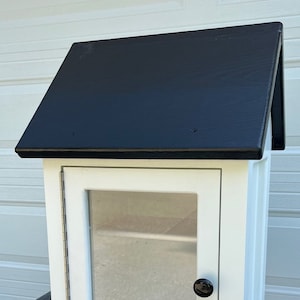 Little Free Lending Library or Food Pantry