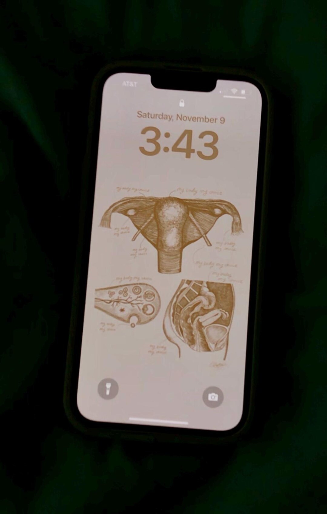 Obgyn/female Anatomy 