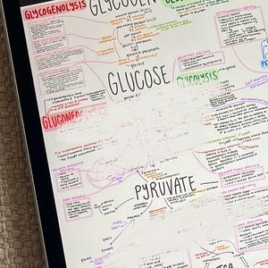 Może przedstawiać: Ręcznie narysowany schemat procesów metabolicznych glikogenolizy, glikogenezy, glukoneogenezy, glikolizy i cyklu Krebsa. Schemat jest narysowany kolorowym atramentem na białym papierze i zawiera etykiety tekstowe dla każdego procesu.