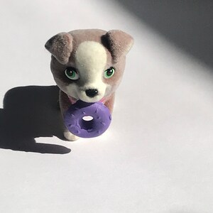 Holala or Monst Doll Tan and White Pet Dog