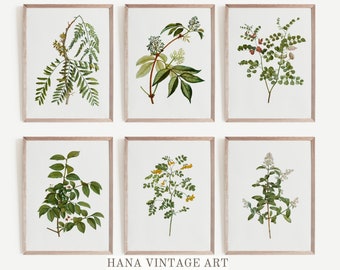 Vintage Botanical Gallery Wall Print SET | Rustic Wall Decor PRINTABLE #S62