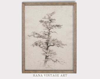 Tree Wall Art Vintage Tree Sketch Botanical Tree Pencil Drawing Wall Decor Sketch Art Printable Black and White Art Digital Downloadable #43