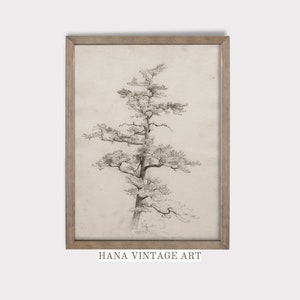 Tree Wall Art Vintage Tree Sketch Botanical Tree Pencil Drawing Wall Decor Sketch Art Printable Black and White Art Digital Downloadable #43
