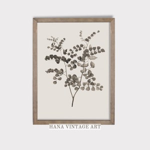 Vintage Botanical Art Print Neutral Drawing Downloadable Tree Branch Decor Printable Botanical Wall Art Vintage Plant  Rustic Home Decor #93