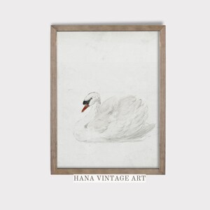 Vintage Swan Painting Watercolor Swan Nursery Wall decor Printable Swan Art Vintage Animal Wall art Neutral Nursery Digital Download #63