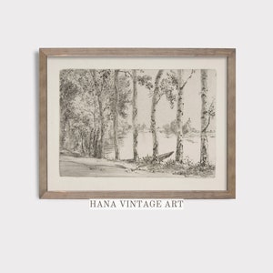Vintage Birch Tree Sketch Antique Digital Art Print Rustic Country Wall Art Printable Botanical Drawing PRINTABLE Wall Art #S93-1