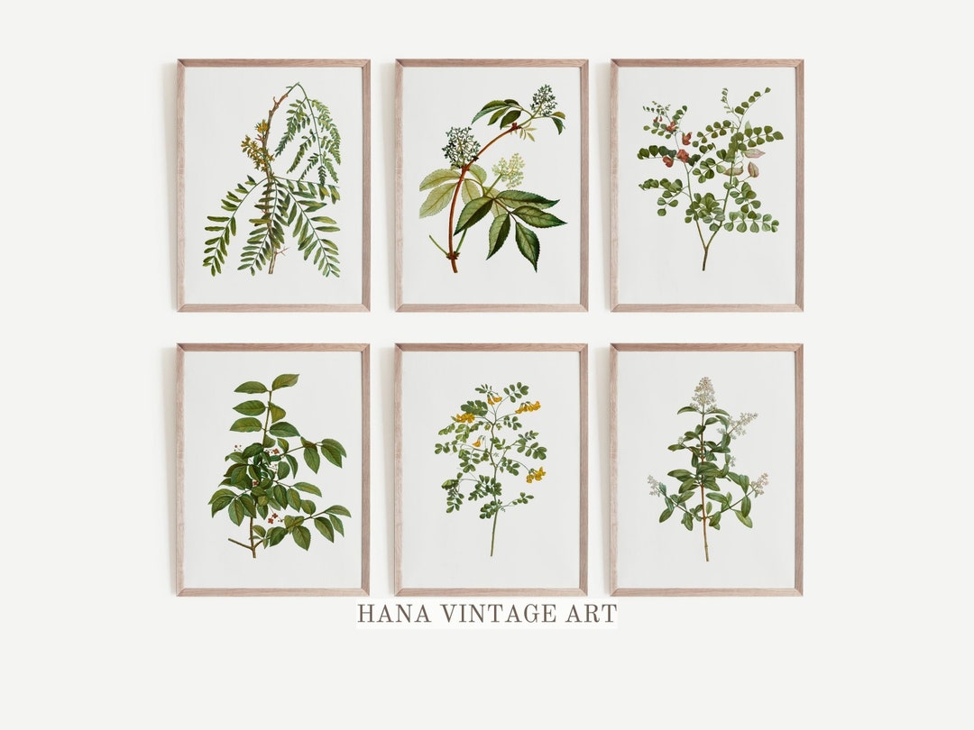 Vintage Botanical Gallery Wall Print SET | Rustic Wall Decor PRINTABLE ...