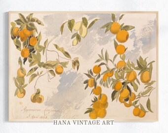 Country Kitchen Fruit Print | Vintage Farmhouse Painting | Orange Lemon PRINTABLE #155
