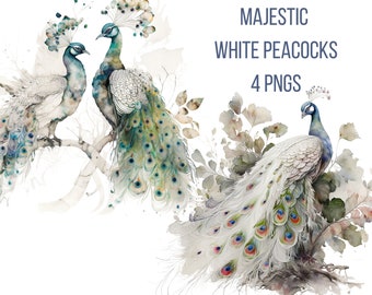 White Peacock Clipart - Whimsical Clip Art, Digital Download PNG Files for Crafting & Commercial Use