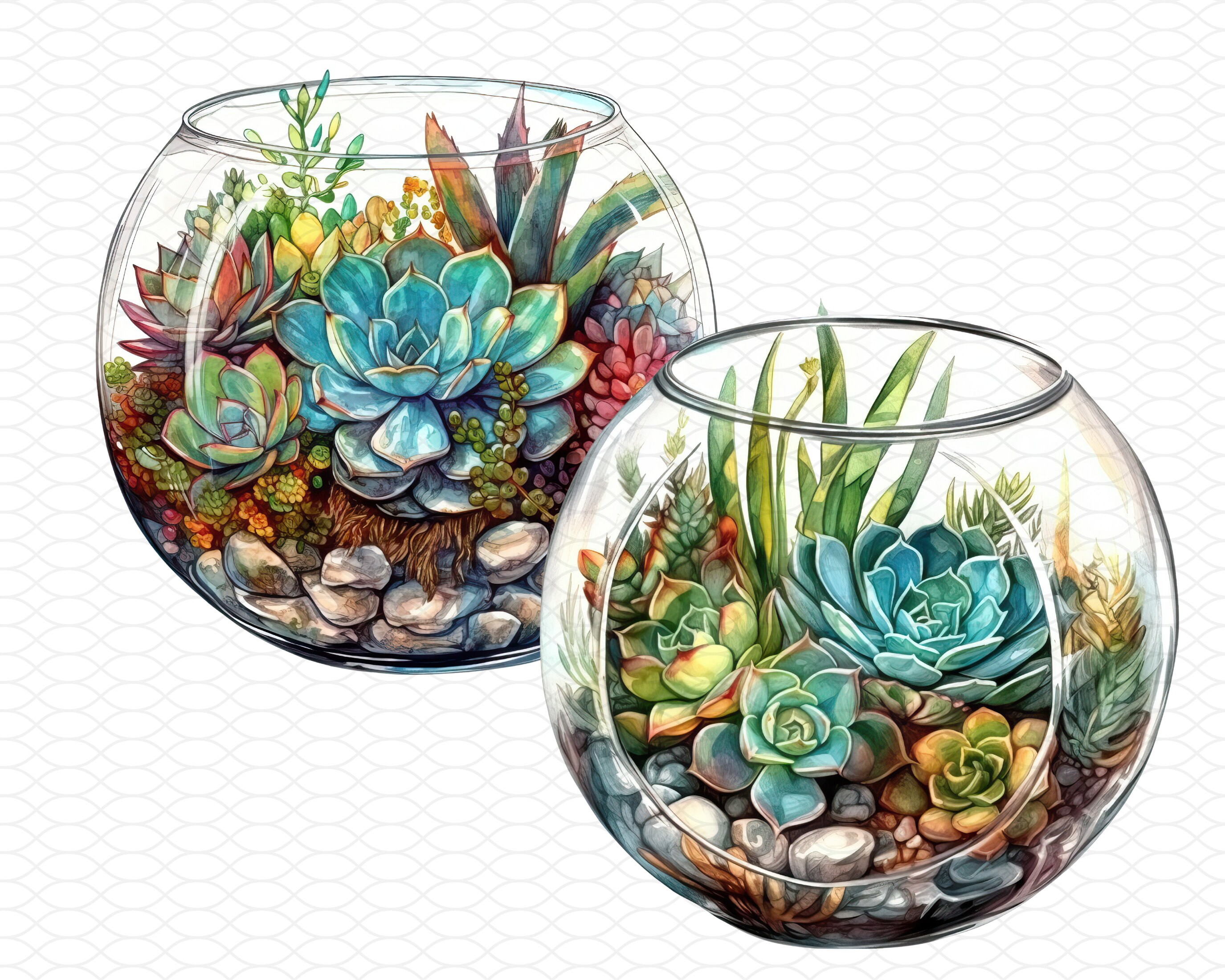 Printable Terrarium Clipart 4 Png Digital Downloads - Etsy