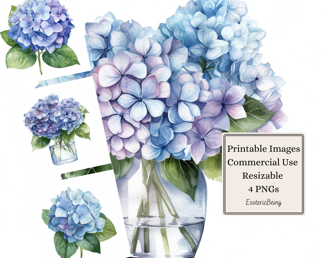 Printable Blue Hydrangea Clipart Blue Hydrangea Png Instant - Etsy