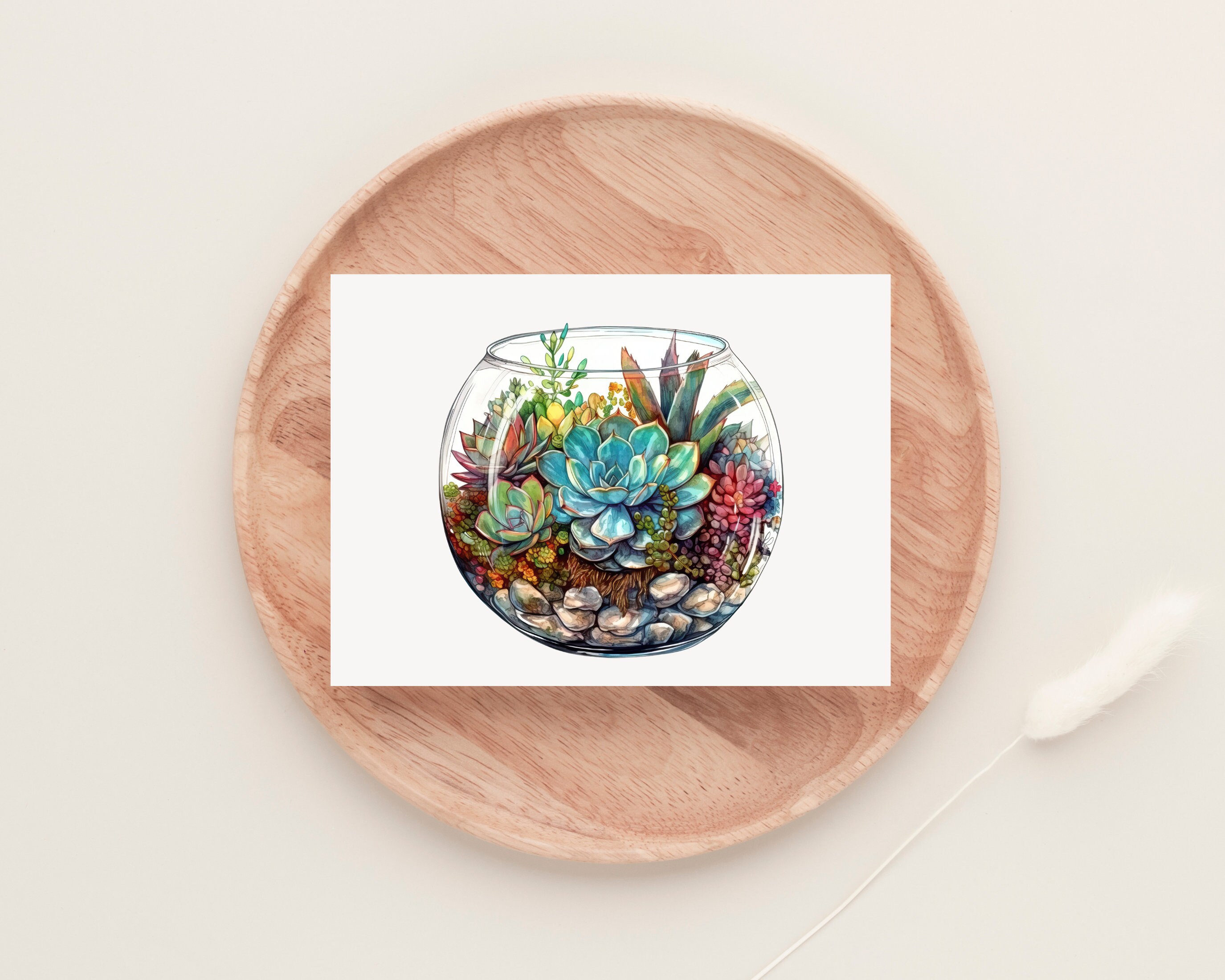 Printable Terrarium Clipart 4 Png Digital Downloads - Etsy