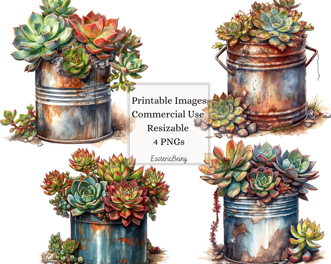 Printable Succulent Clipart 4 Png Digital Downloads - Etsy
