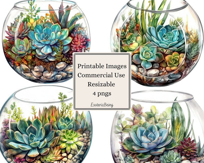 Printable Terrarium Clipart 4 Png Digital Downloads - Etsy