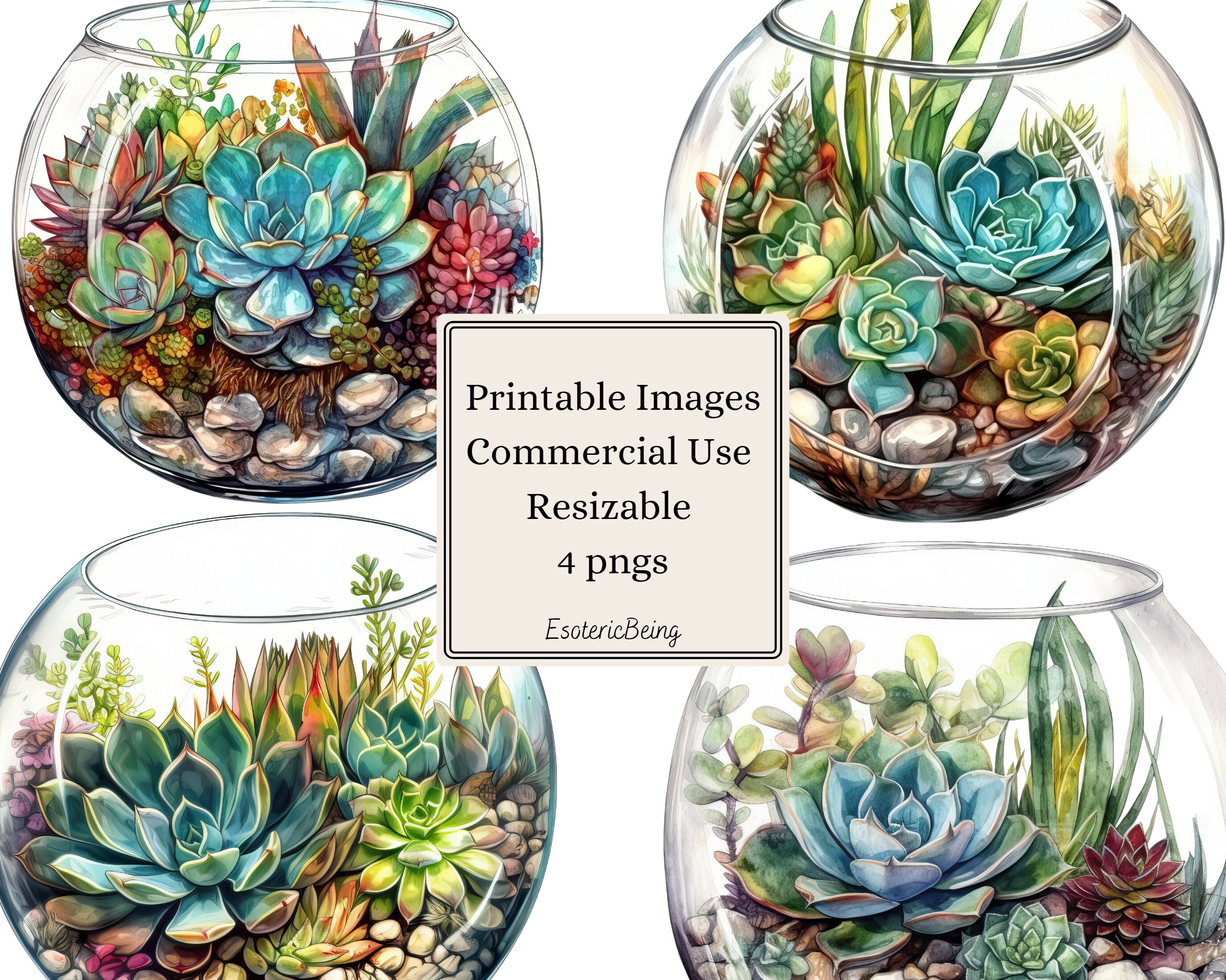 Printable Terrarium Clipart 4 Png Digital Downloads - Etsy