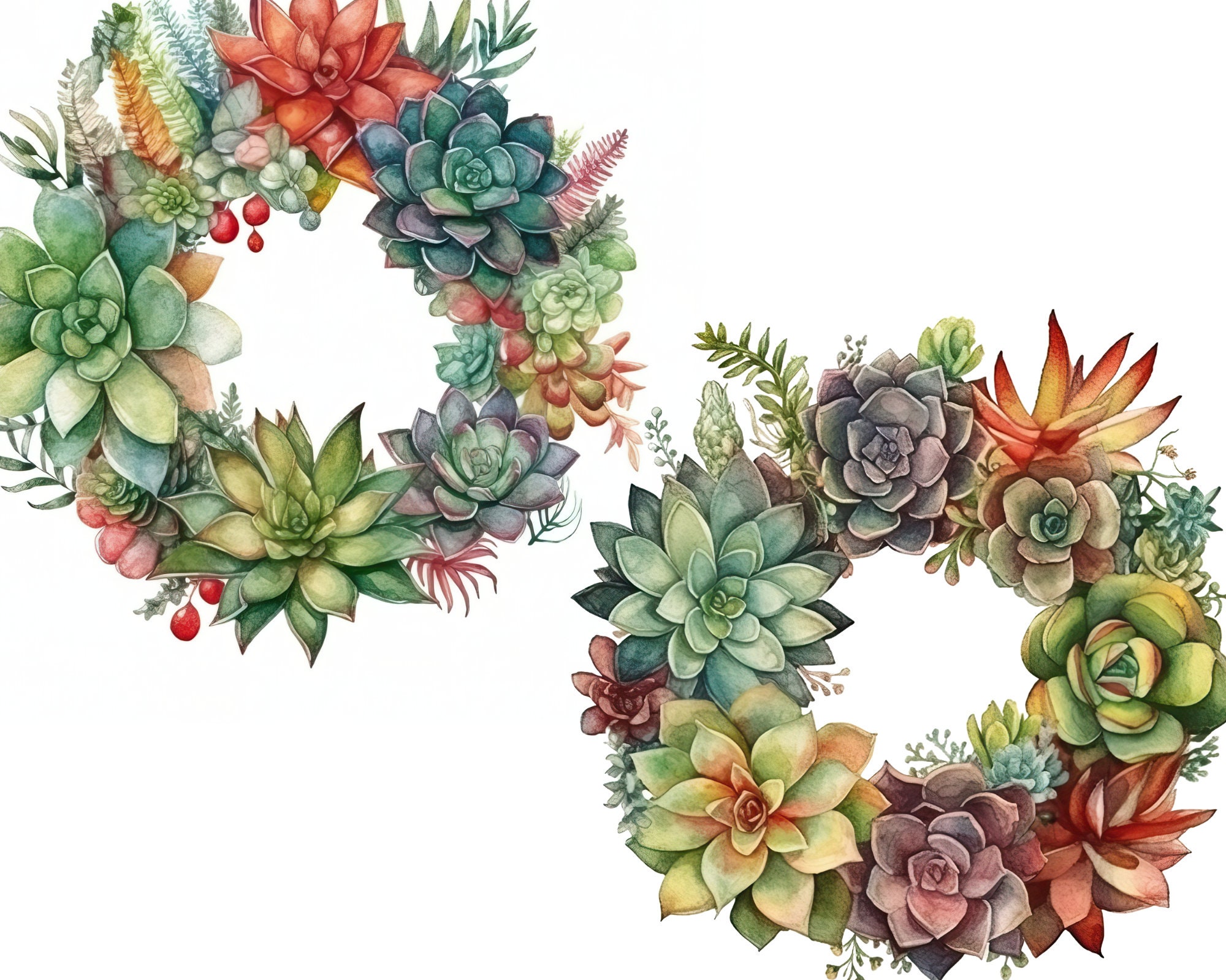 Printable Succulent Clipart 4 Png Digital Downloads - Etsy